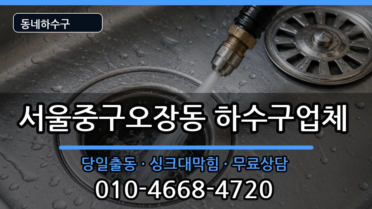 서울중구오장동 하수구막힘 증상 처리 안내 이미지 3