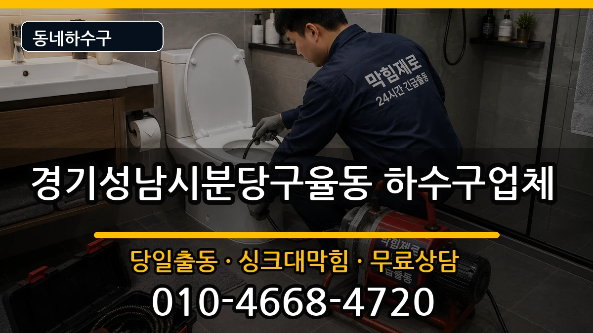 경기성남시분당구율동 하수구막힘 증상 처리 안내 이미지 3