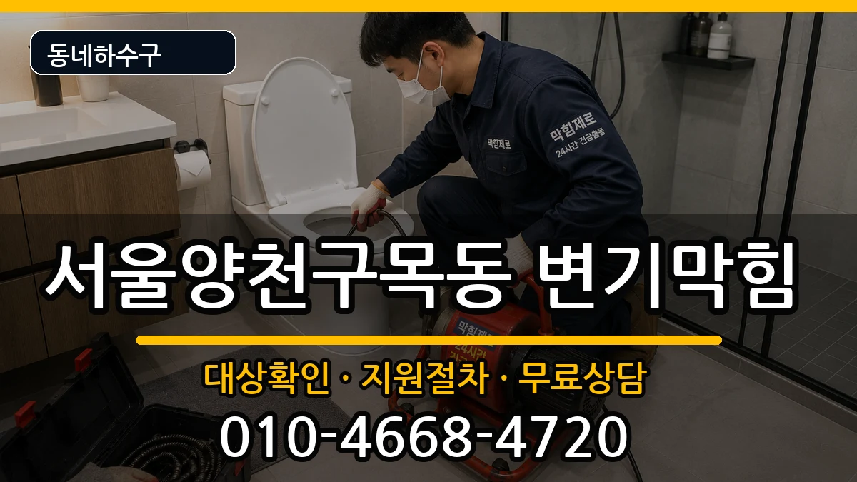 서울양천구목동 변기막힘 증상 처리 안내 이미지 2