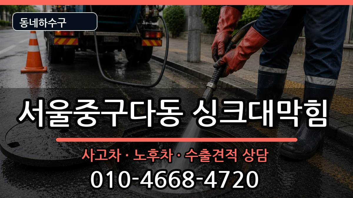 서울중구다동 싱크대막힘 서울중구다동 싱크대막힘 증상 처리 안내 이미지 3