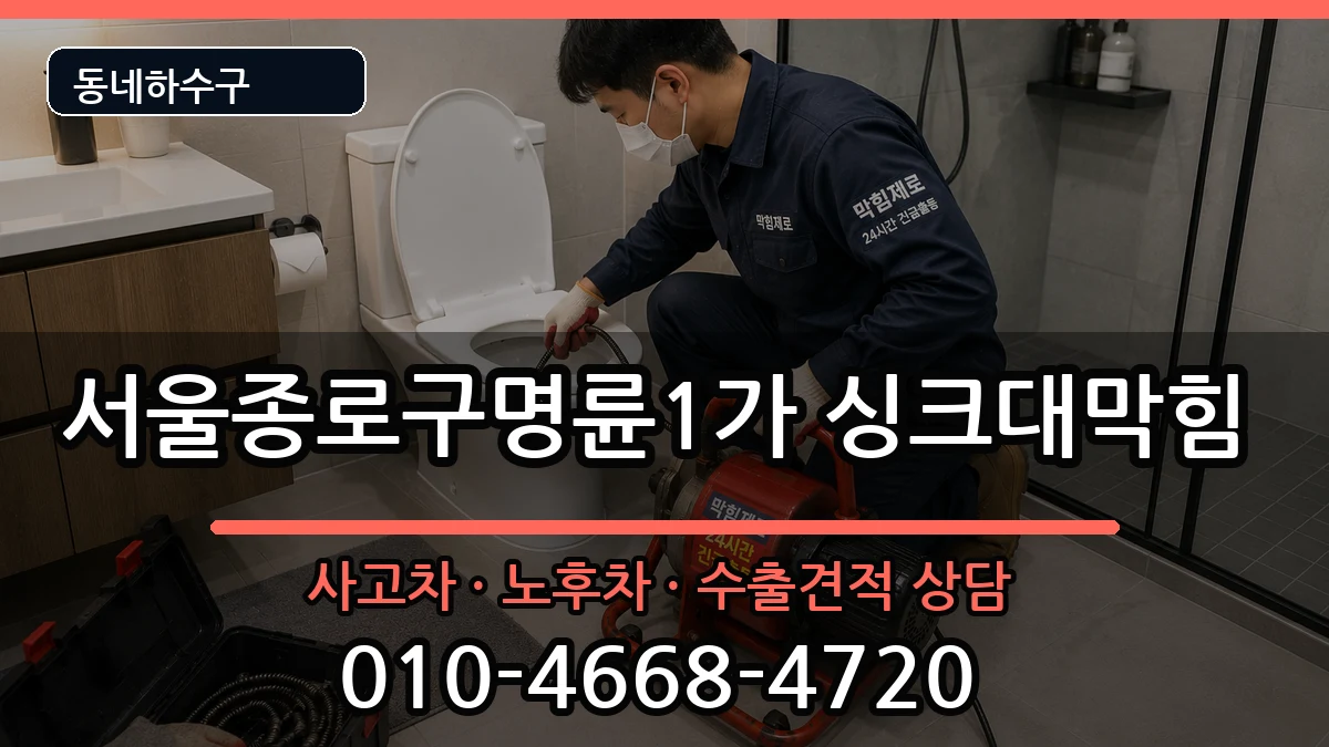 서울종로구명륜1가 싱크대막힘 증상 처리 안내 이미지 3