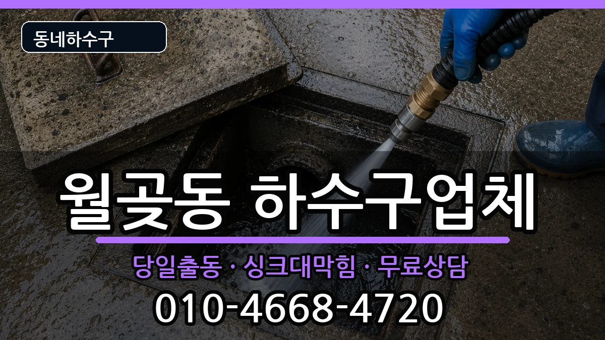 경기시흥시월곶동 하수구막힘 경기시흥시월곶동 하수구막힘 증상 처리 안내 이미지 1