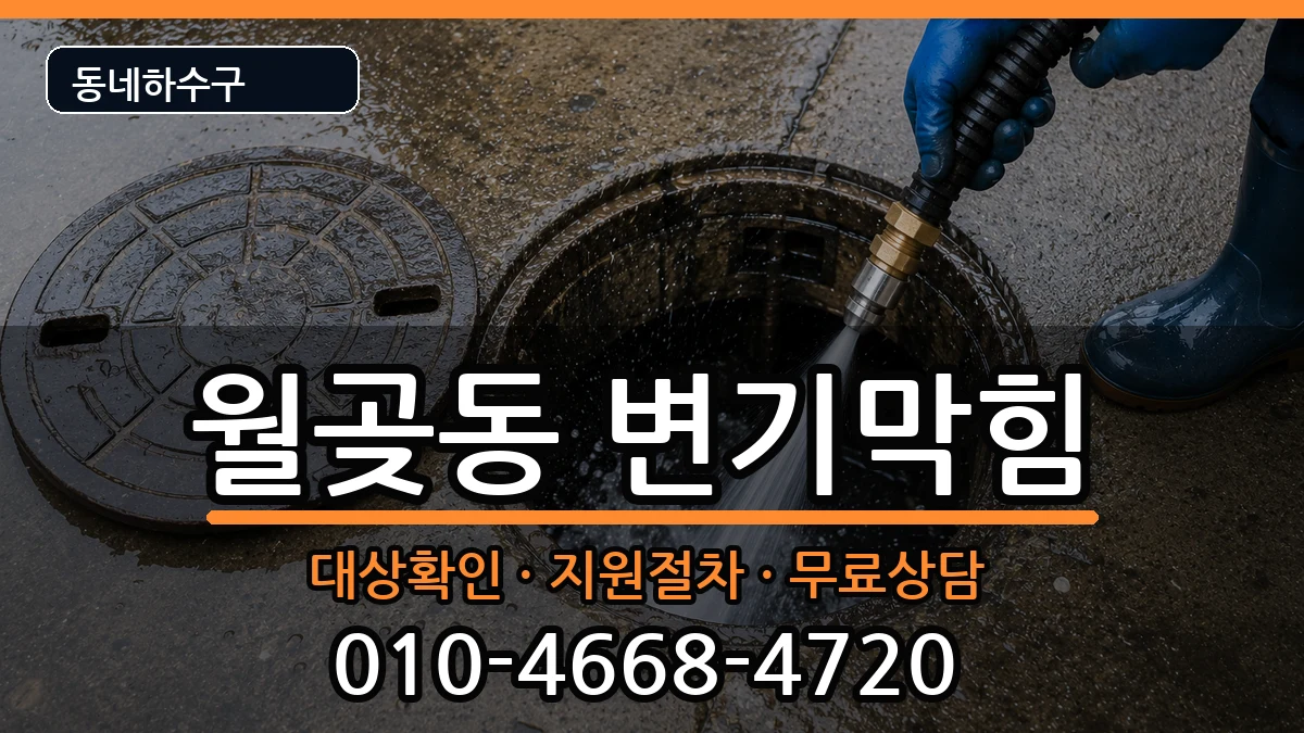 경기시흥시월곶동  변기막힘 FAQ형