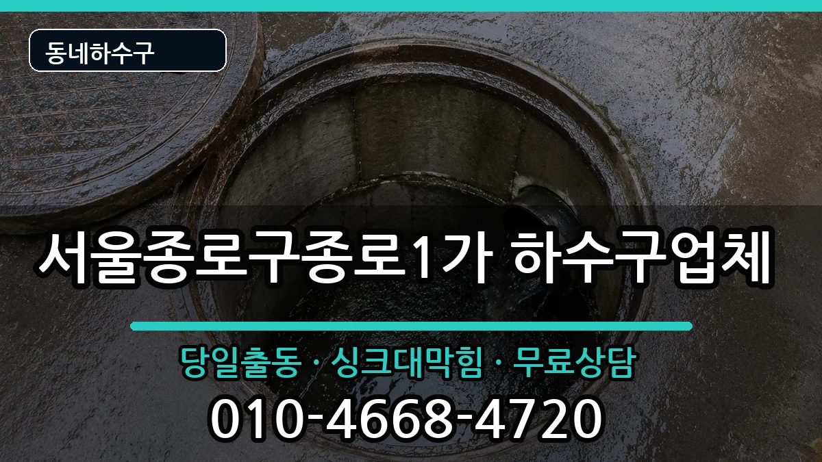 서울종로구종로1가 하수구막힘 서울종로구종로1가 하수구막힘 증상 처리 안내 이미지 1