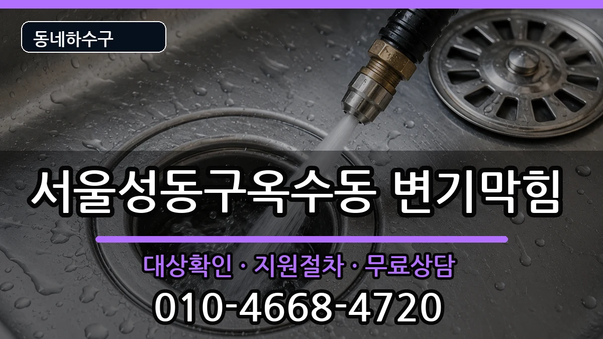 서울성동구옥수동 변기막힘 서울성동구옥수동 변기막힘 증상 처리 안내 이미지 2