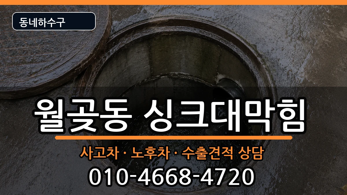 경기시흥시월곶동 싱크대막힘 경기시흥시월곶동 싱크대막힘 증상 처리 안내 이미지 2