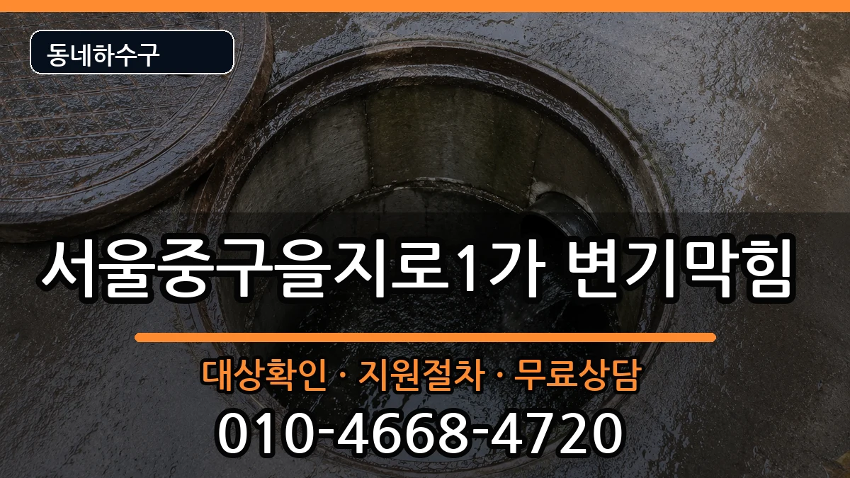 서울중구을지로1가 변기막힘 서울중구을지로1가 변기막힘 증상 처리 안내 이미지 1