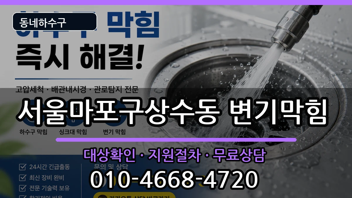 서울마포구상수동 변기막힘 증상 처리 안내 이미지 2
