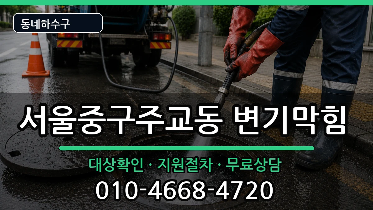 서울중구주교동 변기막힘 서울중구주교동 변기막힘 증상 처리 안내 이미지 3