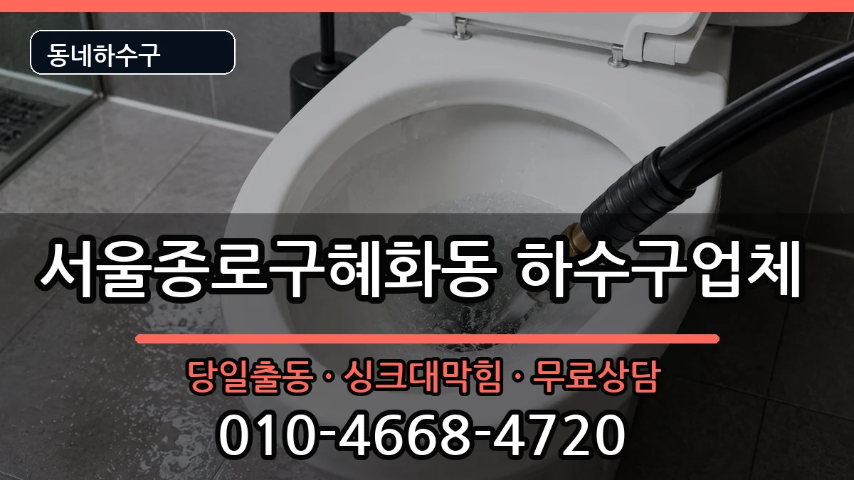 서울종로구혜화동 하수구막힘 서울종로구혜화동 하수구막힘 증상 처리 안내 이미지 2