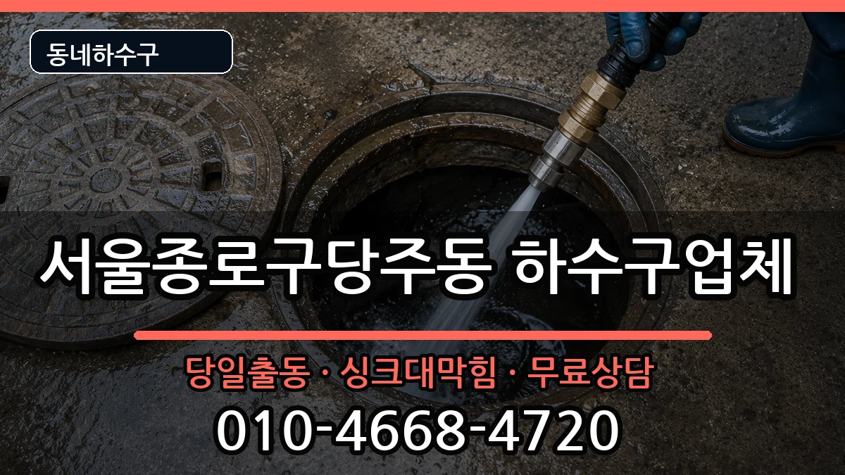 서울종로구당주동 하수구막힘 증상 처리 안내 이미지 1