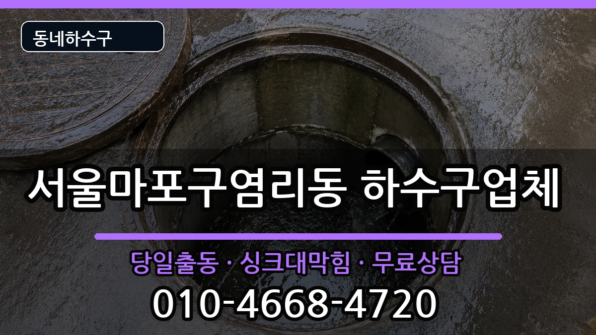 서울마포구염리동 하수구막힘 증상 처리 안내 이미지 1