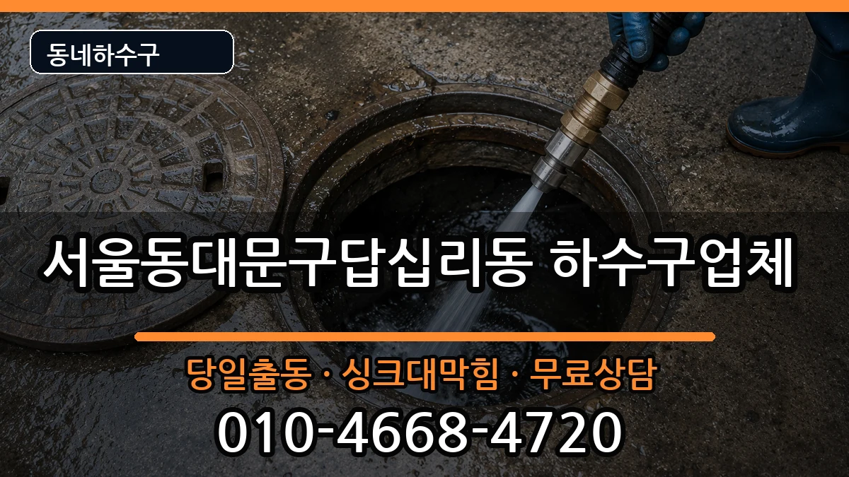 서울동대문구답십리동 하수구막힘 증상 처리 안내 이미지 1