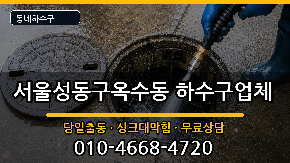 서울성동구옥수동 하수구막힘 증상 처리 안내 이미지 1