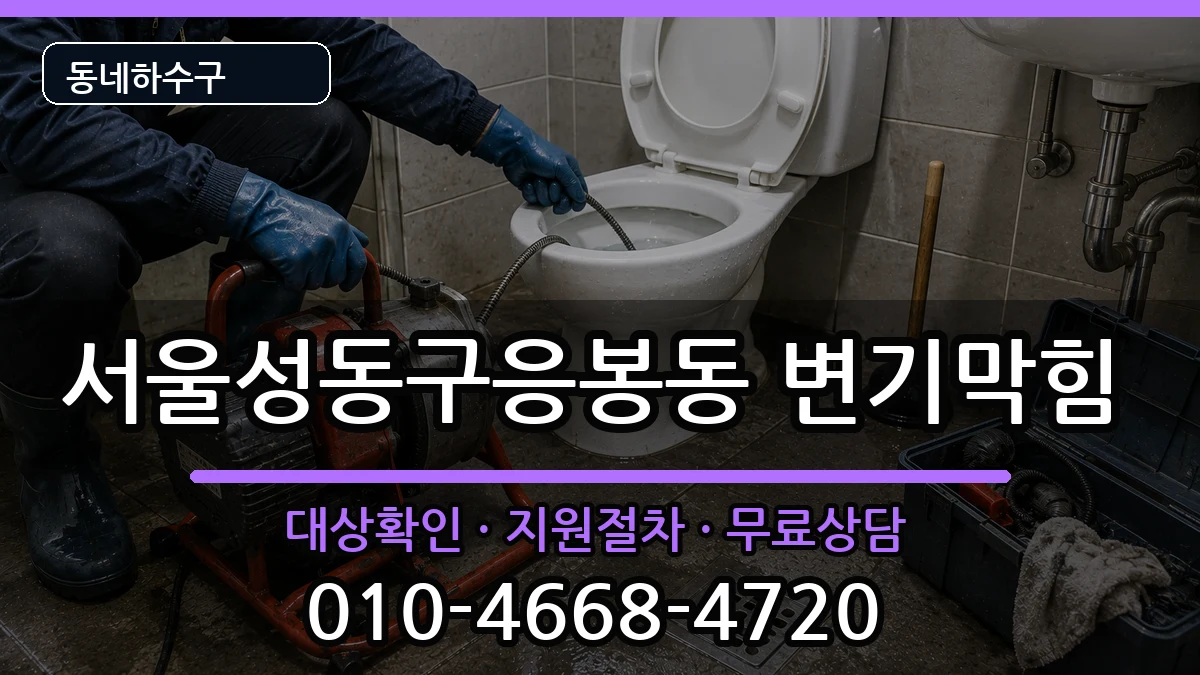서울성동구응봉동 변기막힘 서울성동구응봉동 변기막힘 증상 처리 안내 이미지 1