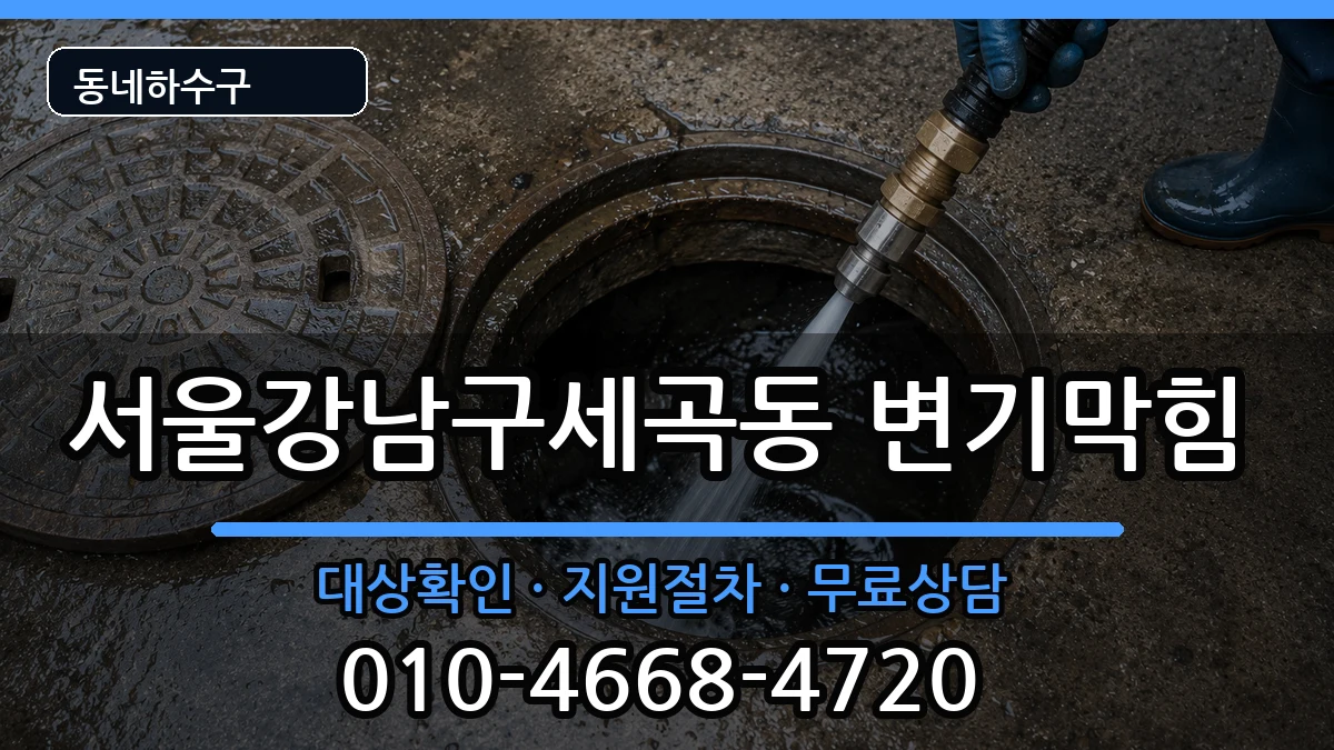 서울강남구세곡동 변기막힘 서울강남구세곡동 변기막힘 증상 처리 안내 이미지 3