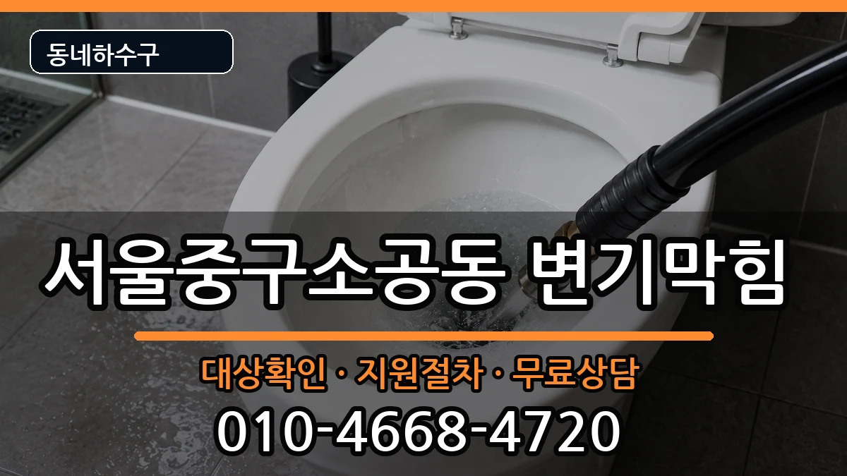 서울중구소공동 변기막힘 증상 처리 안내 이미지 2