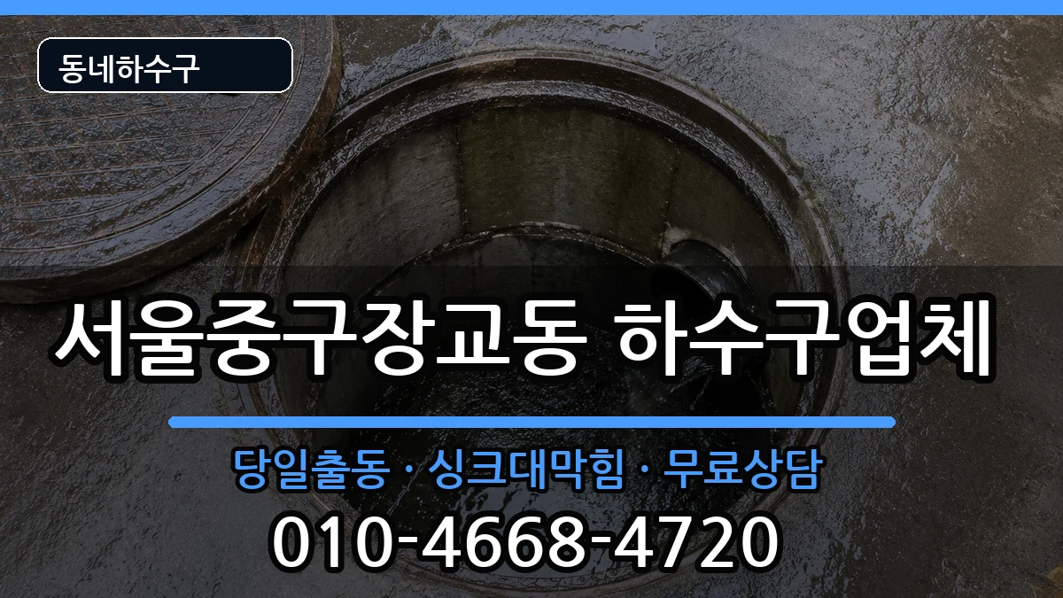 서울중구장교동 하수구막힘 증상 처리 안내 이미지 2