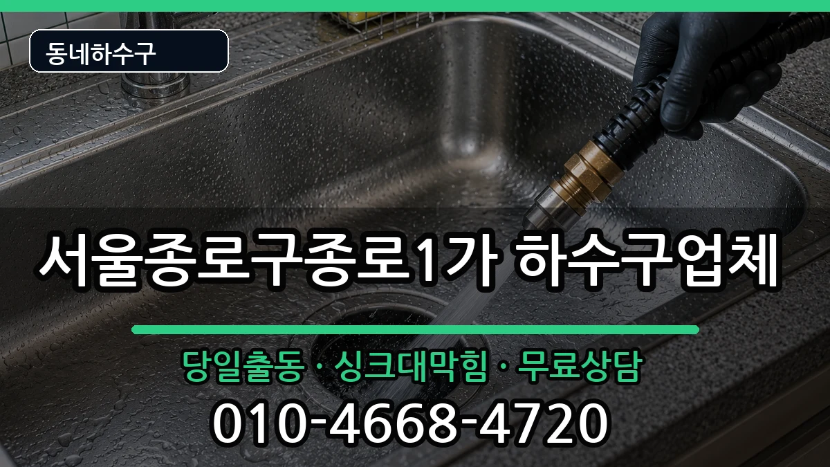 서울종로구종로1가 하수구막힘 서울종로구종로1가 하수구막힘 증상 처리 안내 이미지 3
