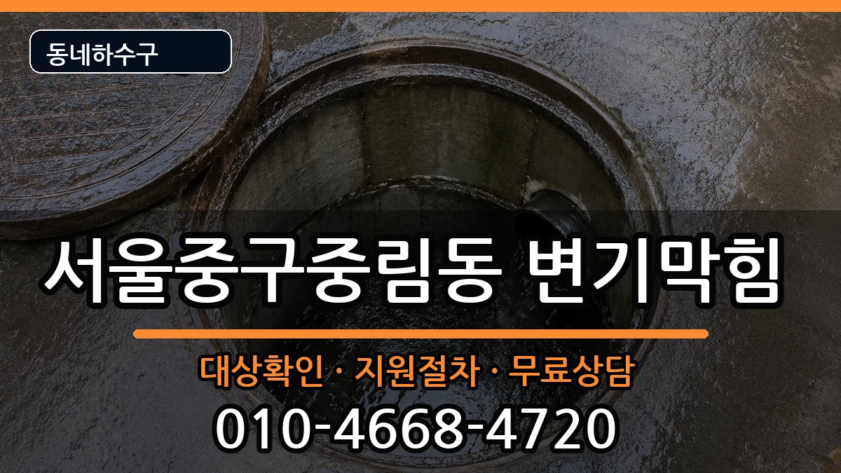 서울중구중림동 변기막힘 서울중구중림동 변기막힘 증상 처리 안내 이미지 3