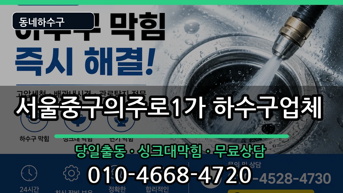 서울중구의주로1가 하수구막힘 증상 처리 안내 이미지 3