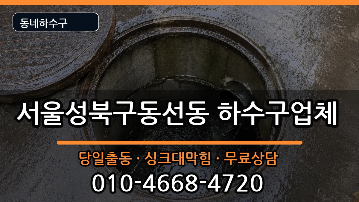 서울성북구동선동 하수구막힘 증상 처리 안내 이미지 1