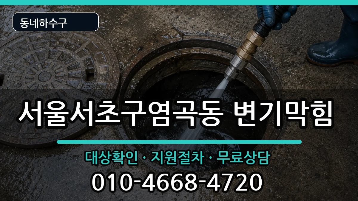 서울서초구염곡동 변기막힘 증상 처리 안내 이미지 3
