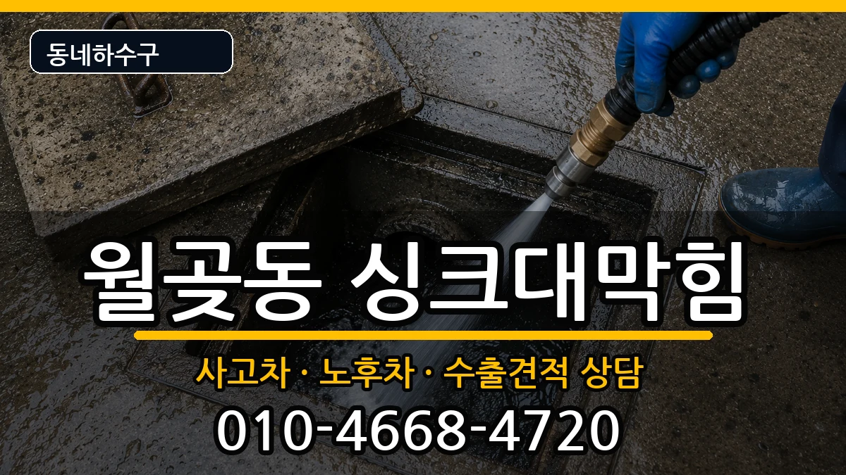 경기시흥시월곶동 싱크대막힘 경기시흥시월곶동 싱크대막힘 증상 처리 안내 이미지 1