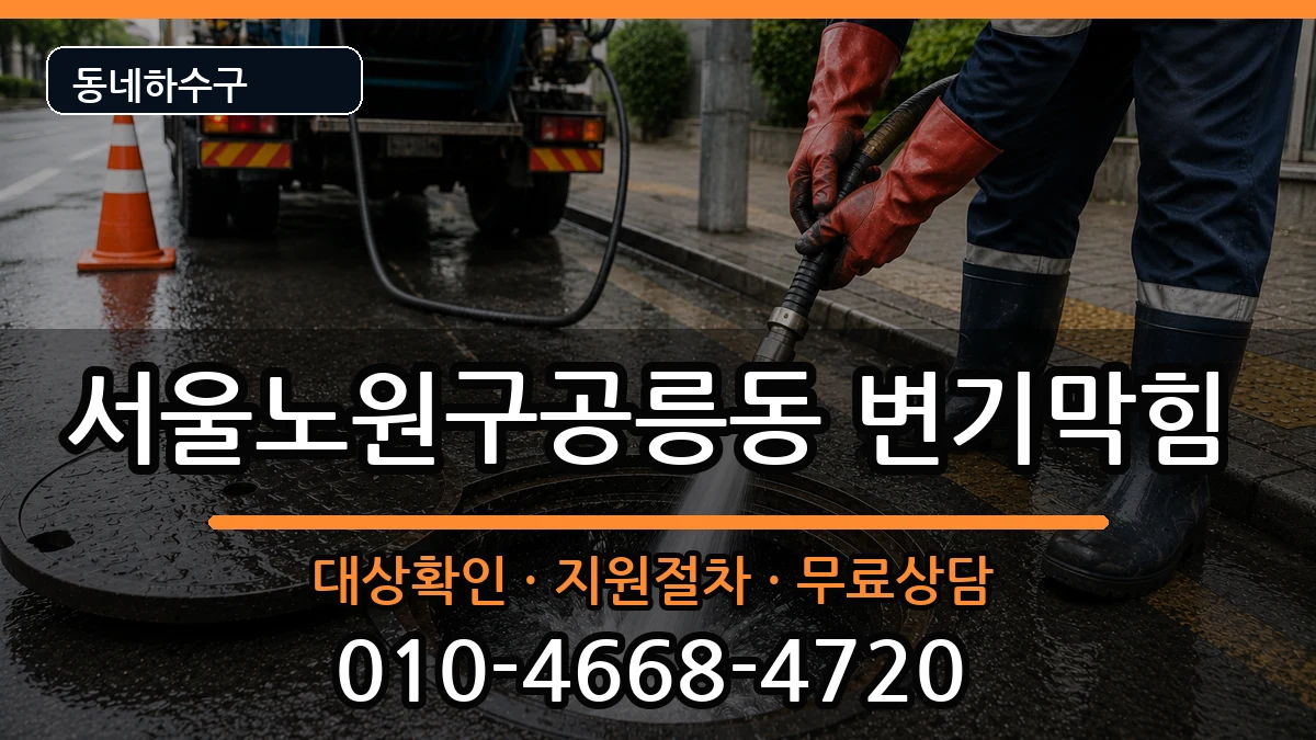 서울노원구공릉동 변기막힘 서울노원구공릉동 변기막힘 증상 처리 안내 이미지 3