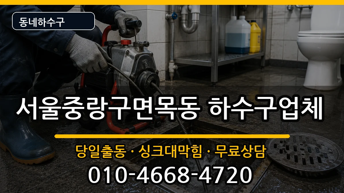 서울중랑구면목동  하수구막힘 정보형