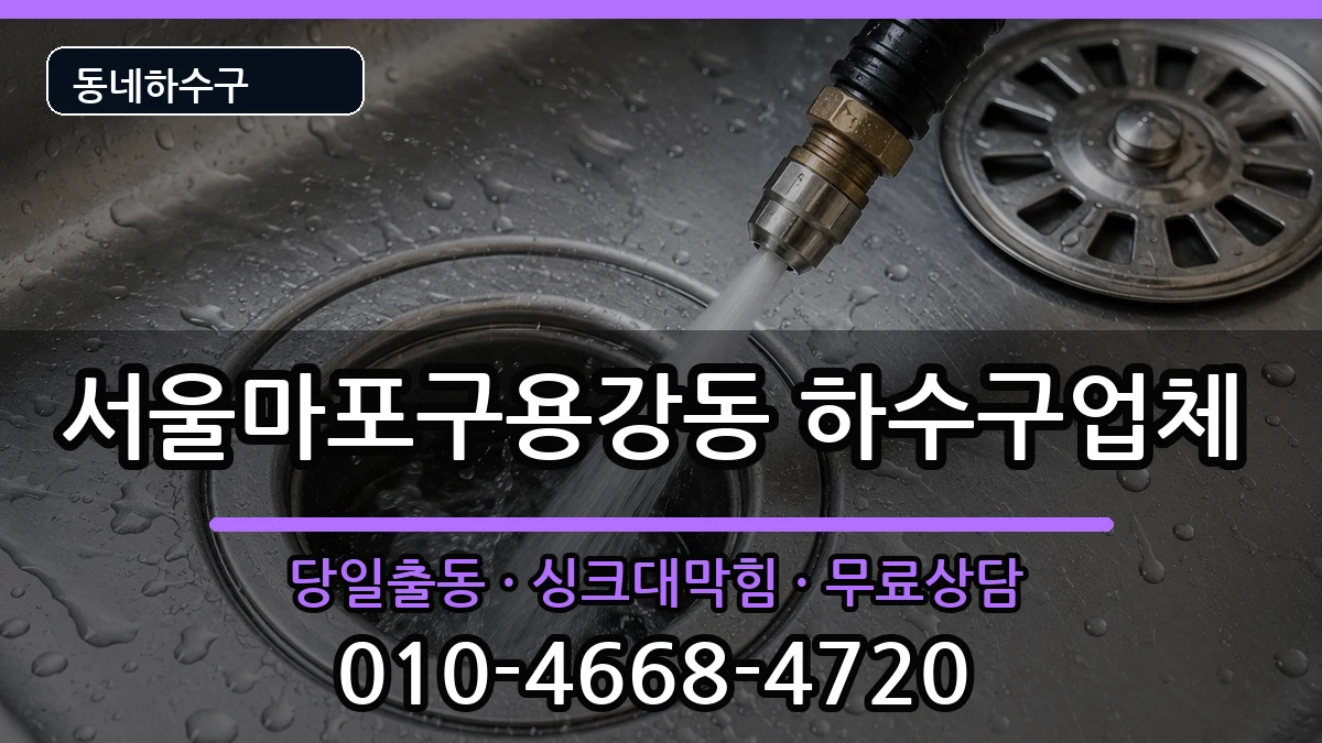 서울마포구용강동 하수구막힘 증상 처리 안내 이미지 3