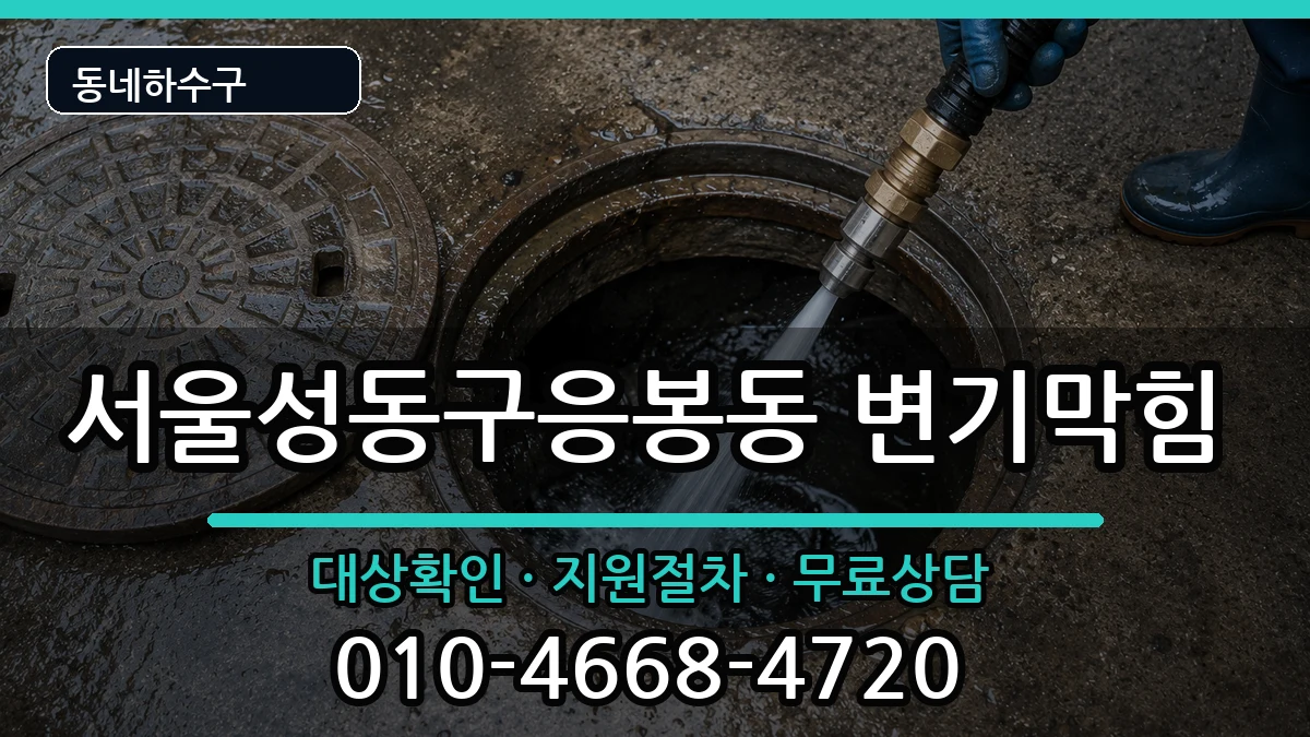 서울성동구응봉동 변기막힘 서울성동구응봉동 변기막힘 증상 처리 안내 이미지 2
