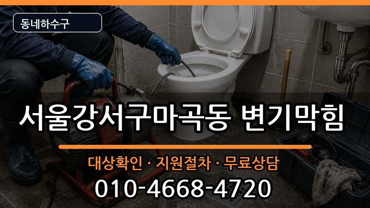 서울강서구마곡동  변기막힘 비교형