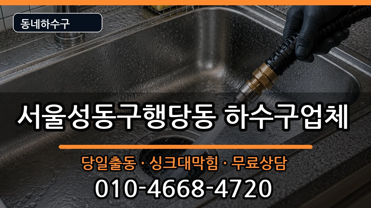 서울성동구행당동 하수구막힘 증상 처리 안내 이미지 2