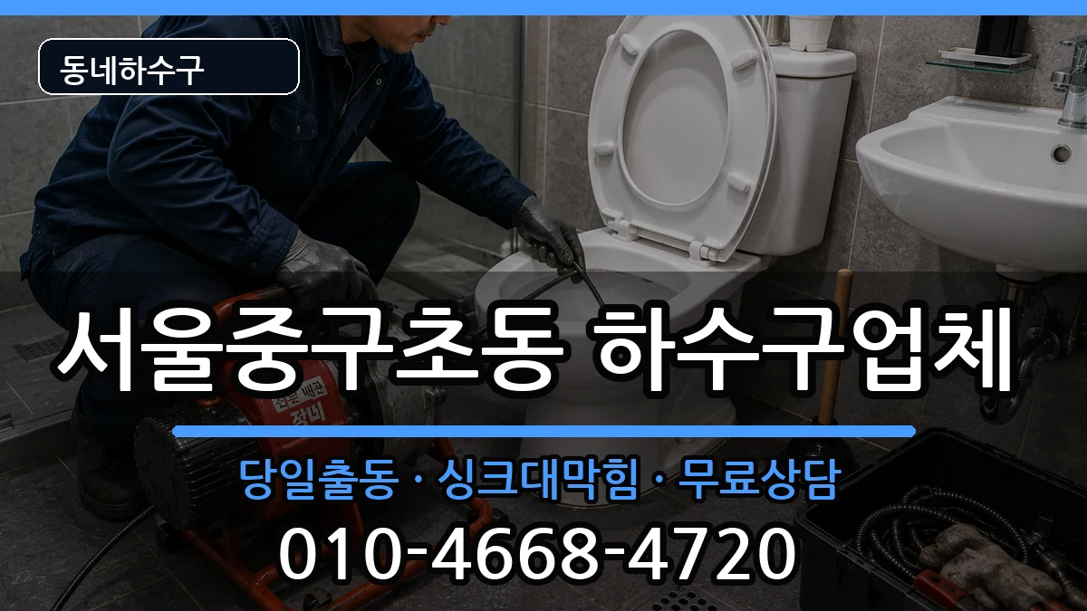 서울중구초동  하수구막힘 사례형