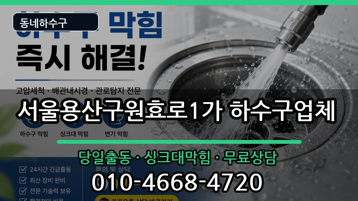 서울용산구원효로1가 하수구막힘 증상 처리 안내 이미지 3