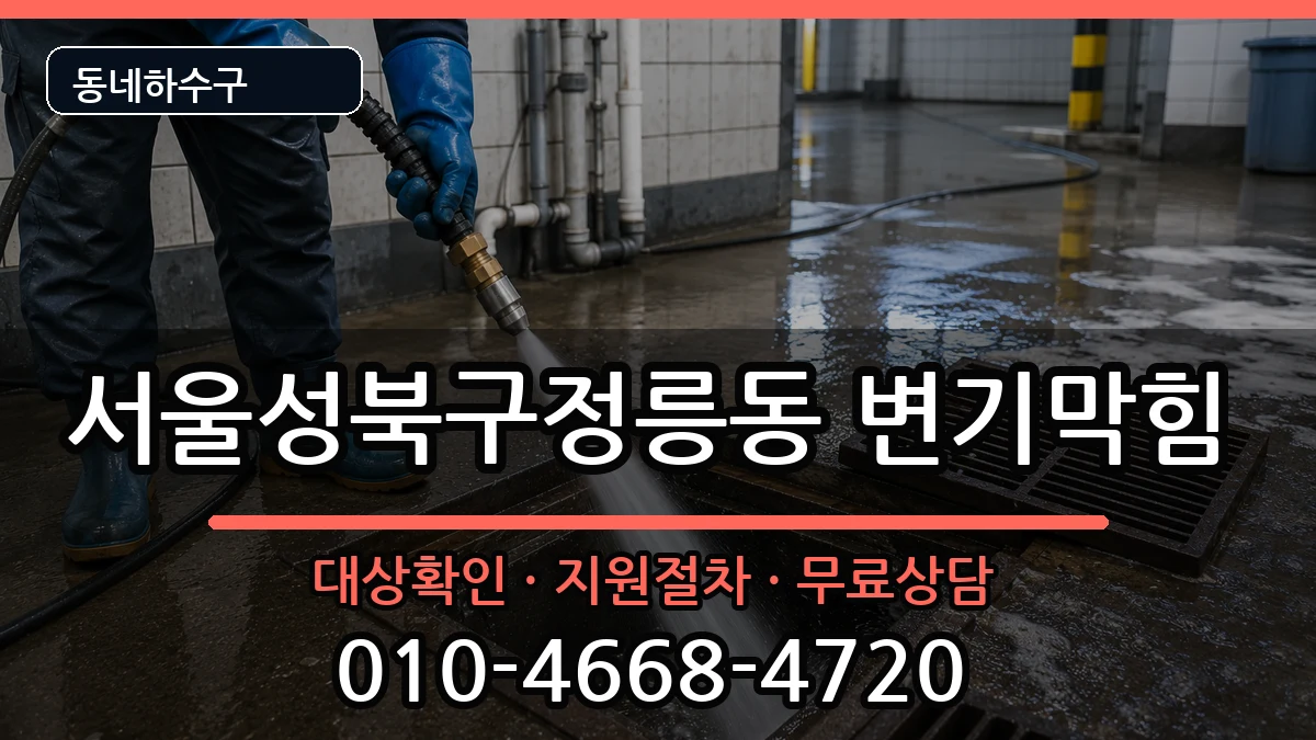 서울성북구정릉동 변기막힘 증상 처리 안내 이미지 2