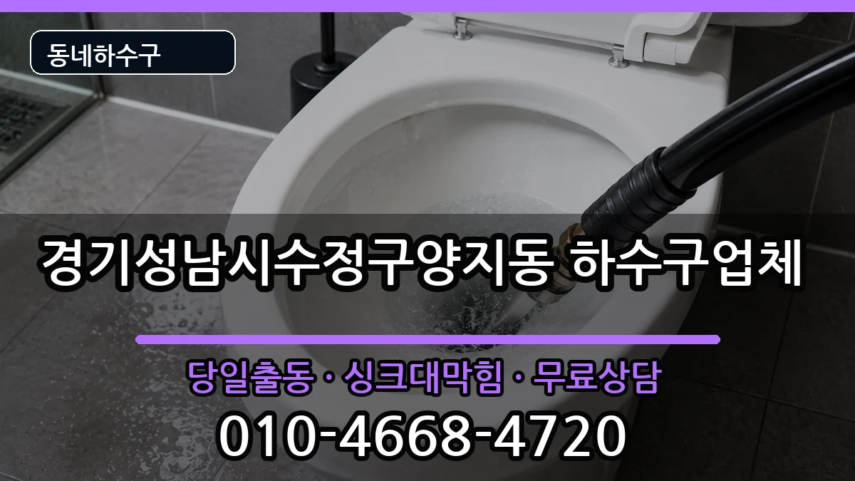 경기성남시수정구양지동 하수구막힘 경기성남시수정구양지동 하수구막힘 증상 처리 안내 이미지 3