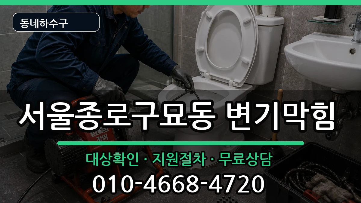 서울종로구묘동 변기막힘 서울종로구묘동 변기막힘 증상 처리 안내 이미지 2