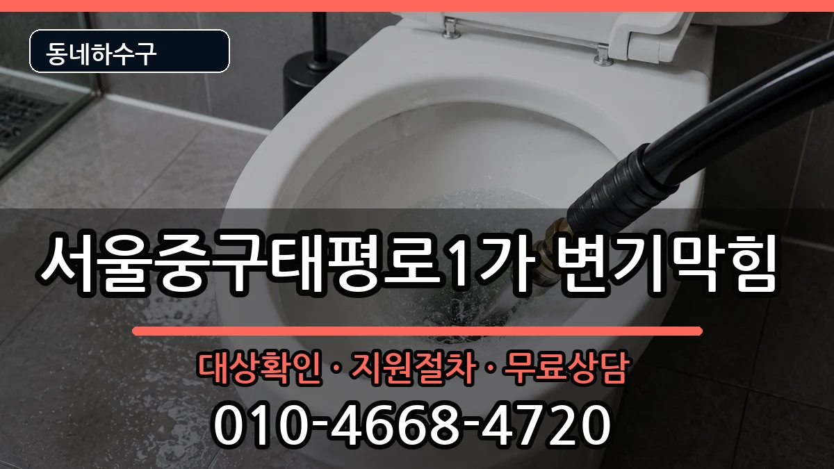 서울중구태평로1가 변기막힘 증상 처리 안내 이미지 3