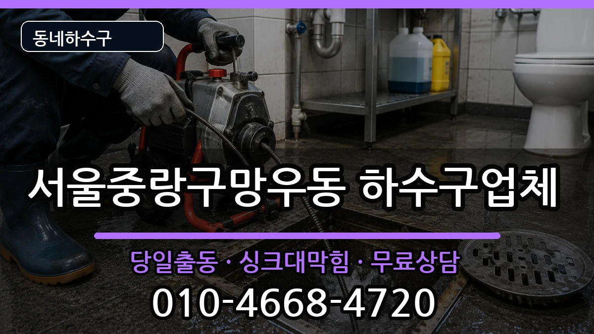 서울중랑구망우동  하수구막힘 정보형