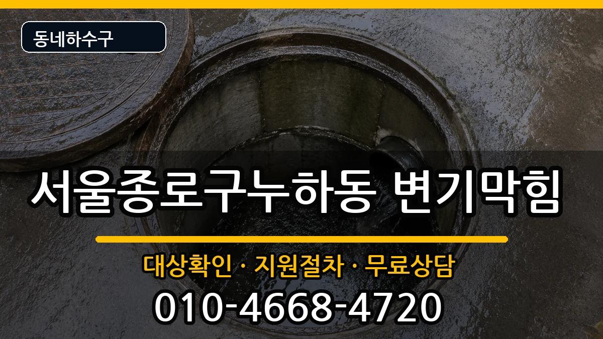 서울종로구누하동 변기막힘 서울종로구누하동 변기막힘 증상 처리 안내 이미지 3