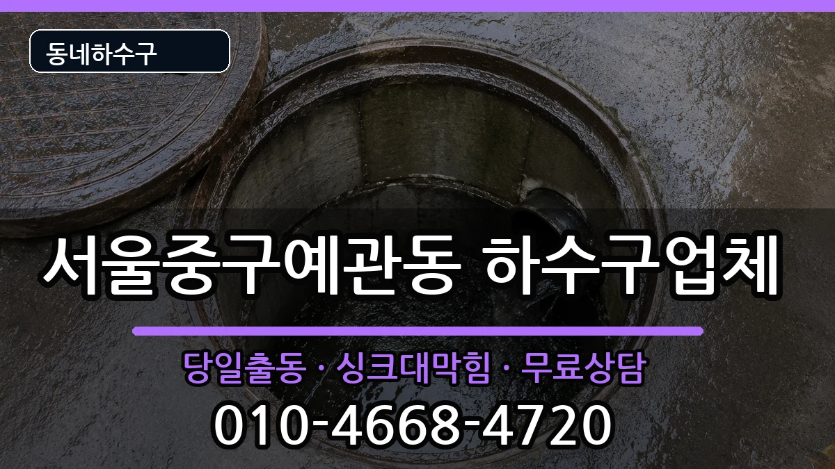 서울중구예관동 하수구막힘 서울중구예관동 하수구막힘 증상 처리 안내 이미지 1