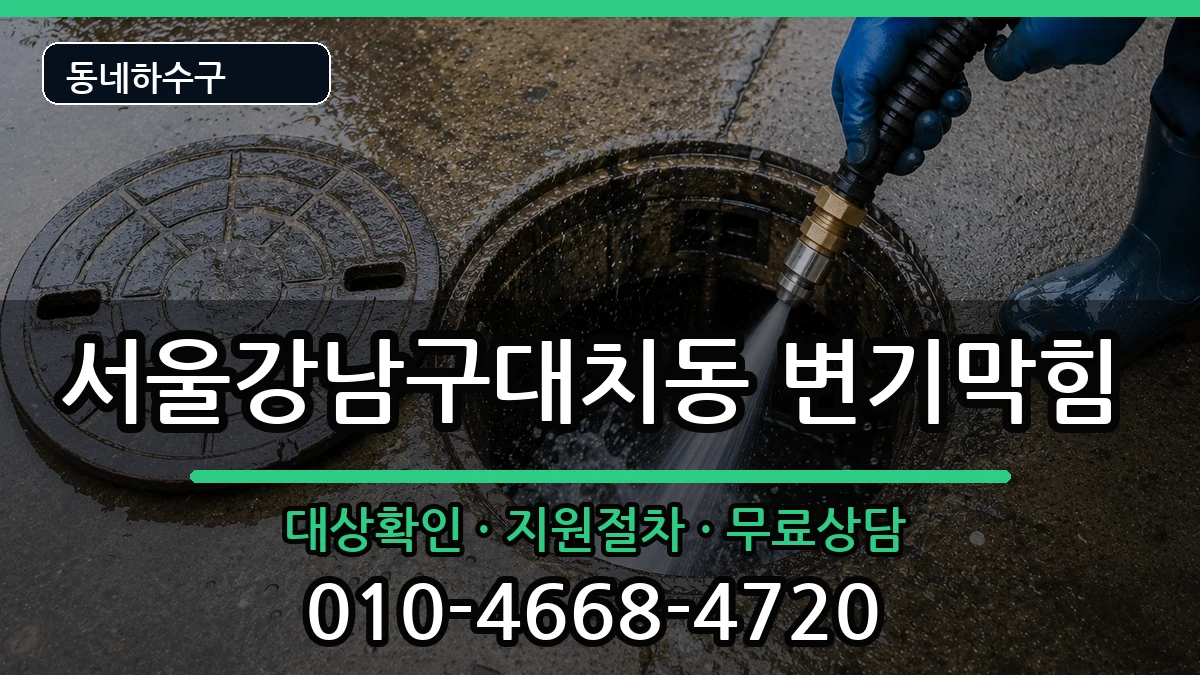 서울강남구대치동 변기막힘 증상 처리 안내 이미지 3