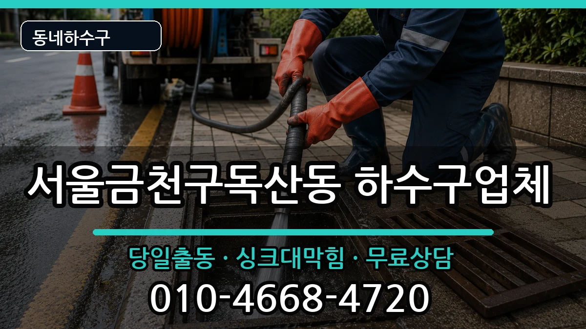 서울금천구독산동  하수구막힘 질문형