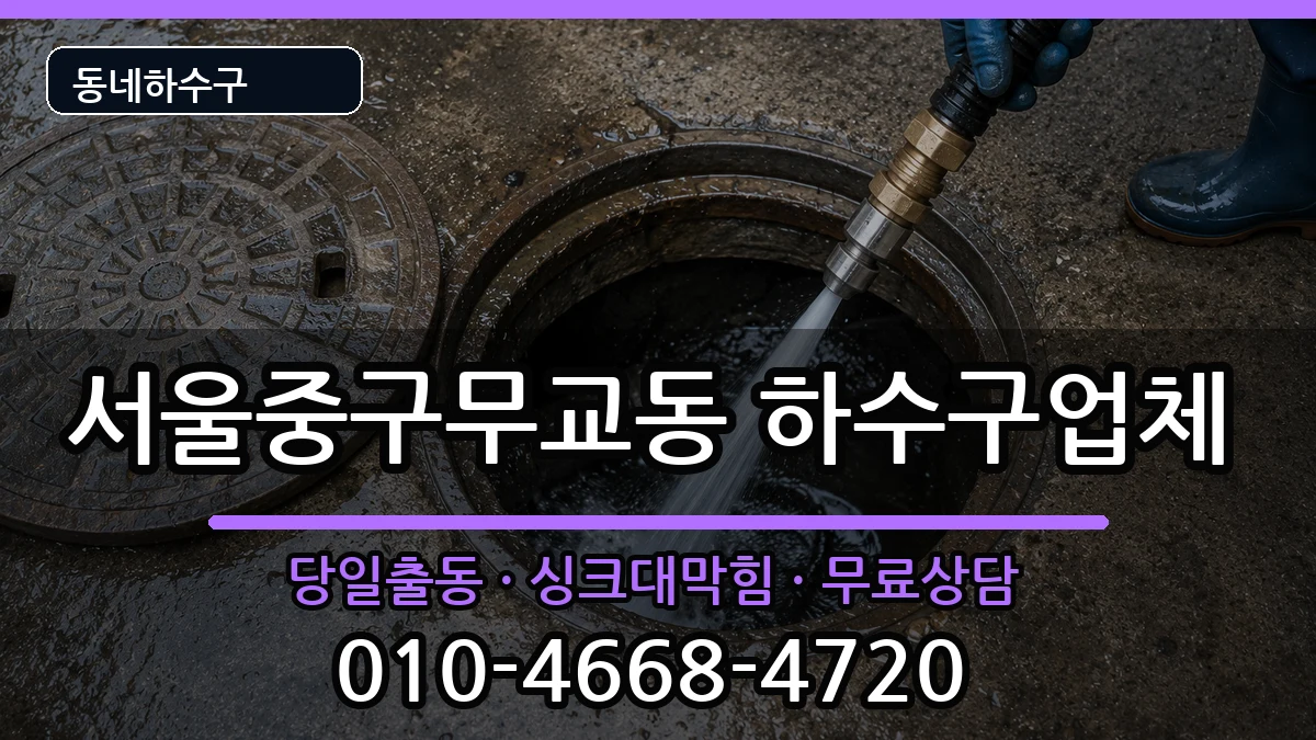 서울중구무교동  하수구막힘 주의사항형